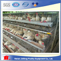 Layer Chicken Cage Made Mesh Wire para Poultry Farm